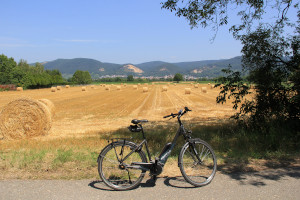 Fahrrad vor Feld