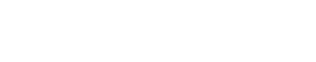 Logo Mängelmelder Pro